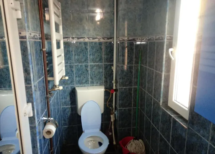 別荘 Casa De Vacanta