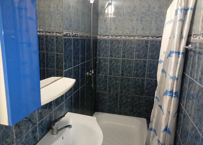 別荘 Casa De Vacanta エフォリエ・ノルド