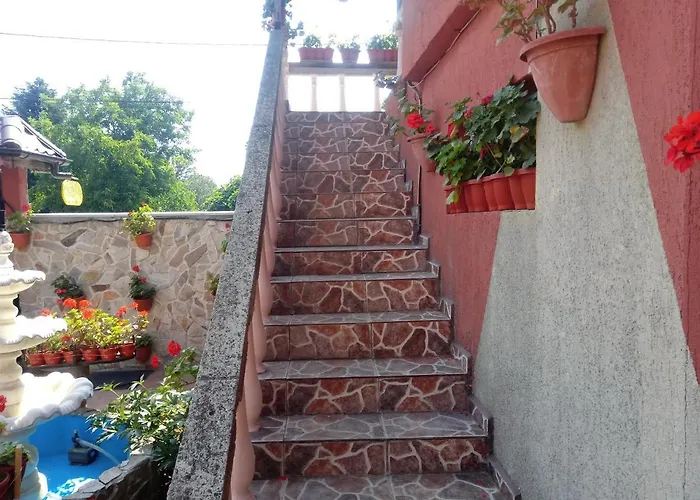 Casa De Vacanta エフォリエ・ノルド