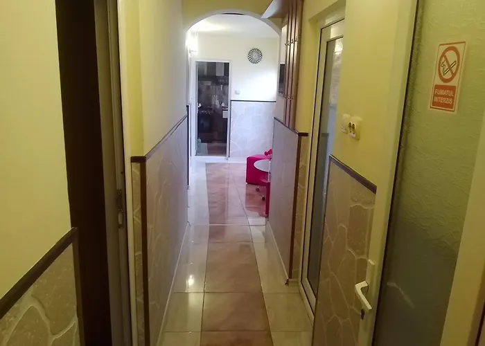 Casa De Vacanta エフォリエ・ノルド